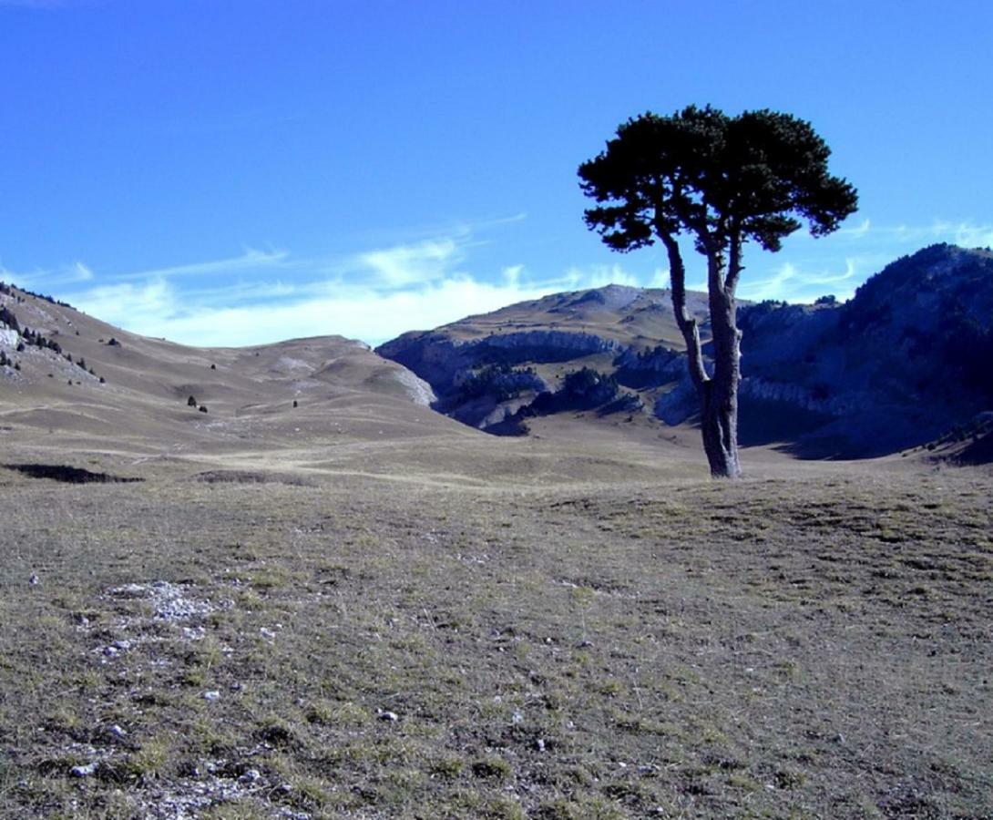 Okami Du Vercors Saint-Laurent-en-Royans Ngoại thất bức ảnh